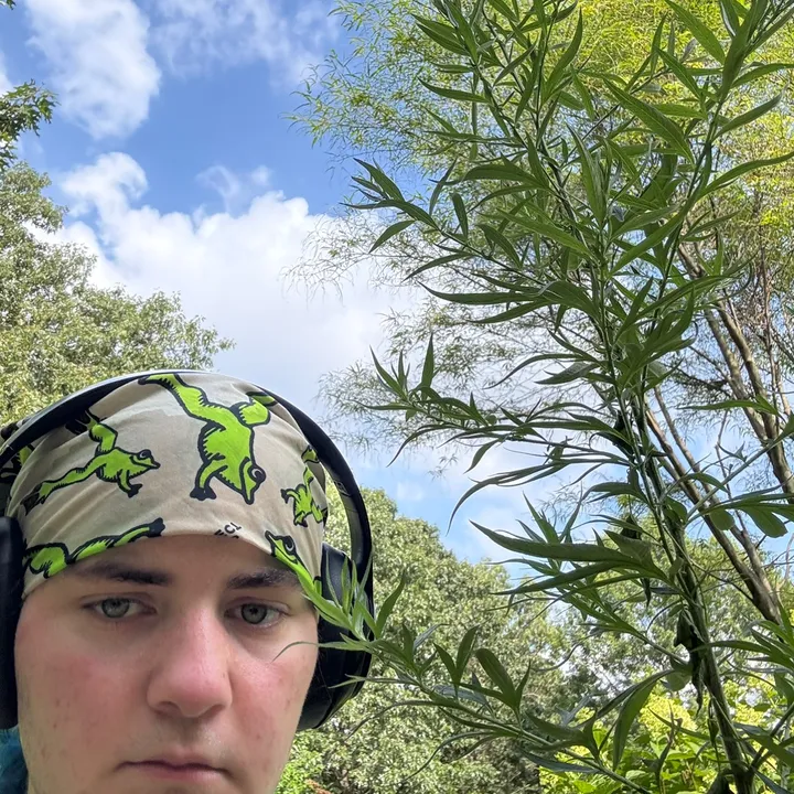 @theceoofplants