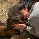 @dr.nicolevetmed