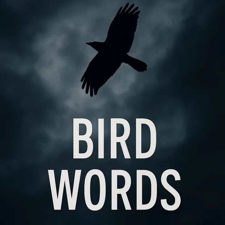@birdwords000