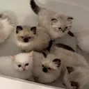 @mgufggu