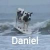 user_dlill