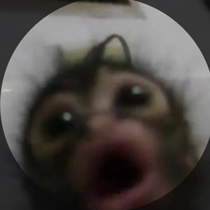 @nessawrlld