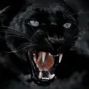 @9_bagira_9