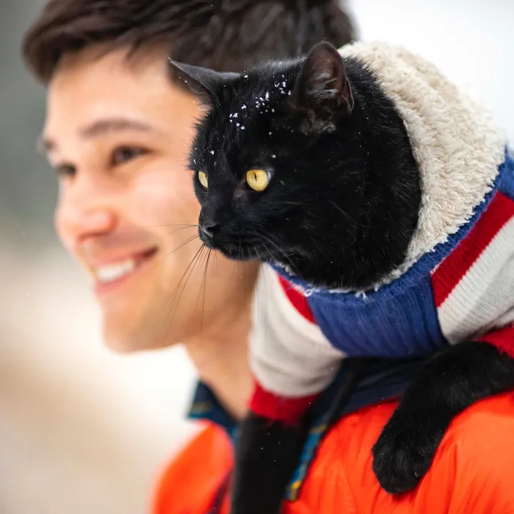 @backpackingkitty