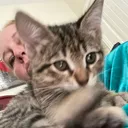 @lifeofrileymeow