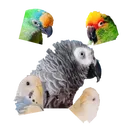 @qbertbird