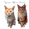 tycoon_mainecoons