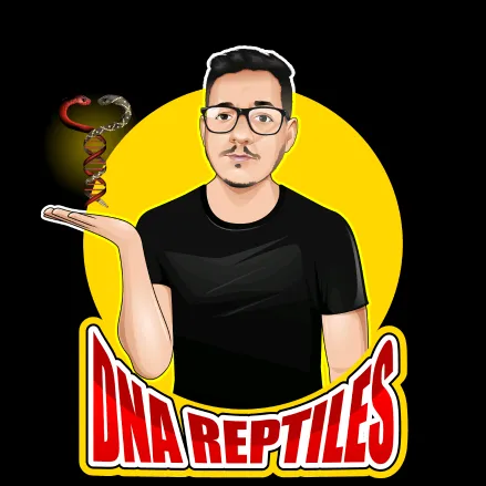 @dna_reptiles
