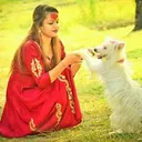 @sharmila1150