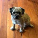 @gretaandfinn