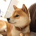 @mochi_shogun