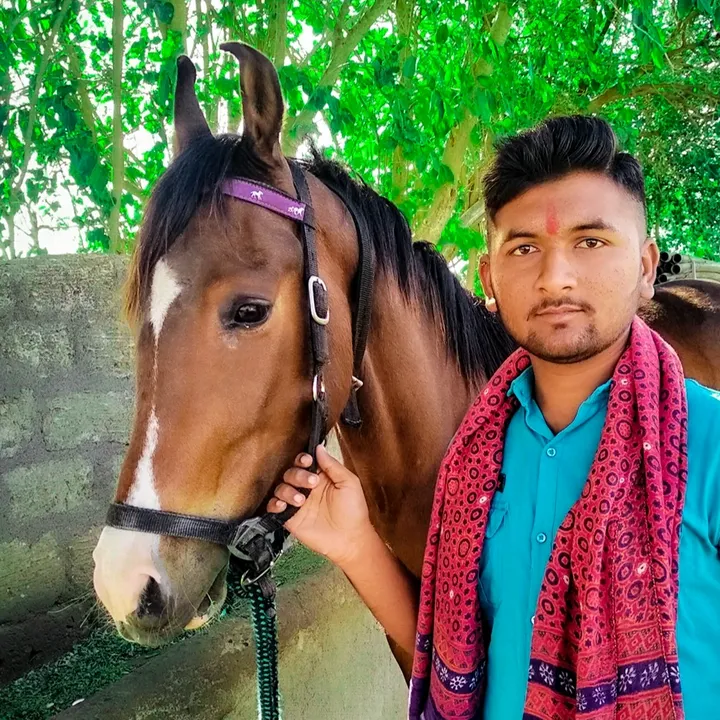 @divyarajsinh__khadba