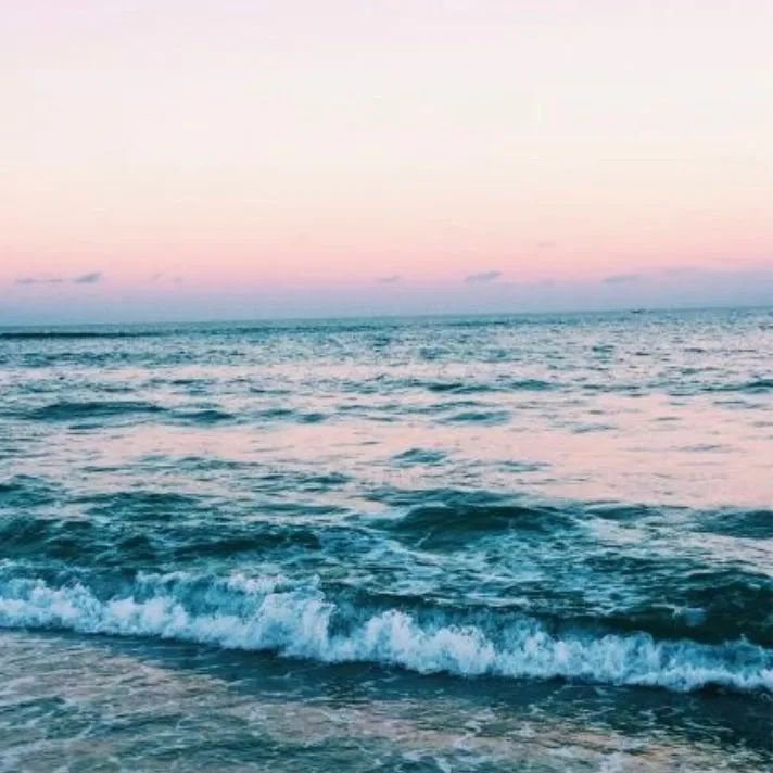 beachyvsco19
