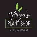 @yayasplantshop