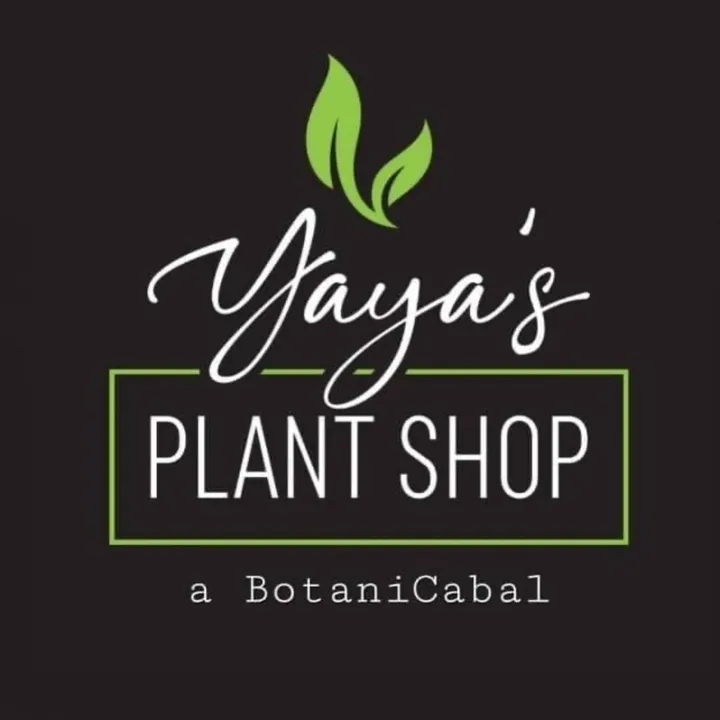 @yayasplantshop