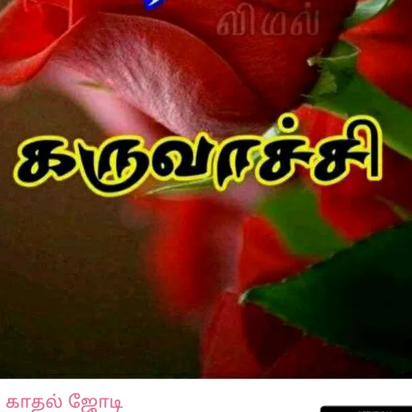 @visa1304199998