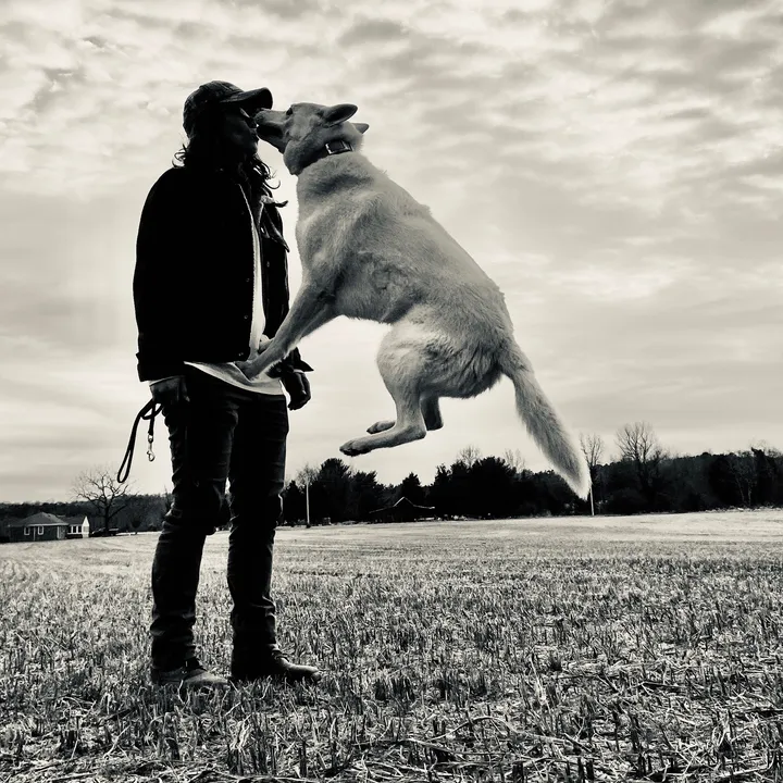 outbounddogs