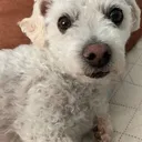 @cooperandmatilda