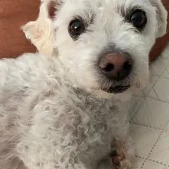 @cooperandmatilda