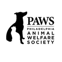 @phillypaws