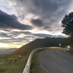 @virus.perez
