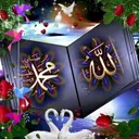@shumaila.danish