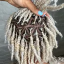 @nappstarnyc