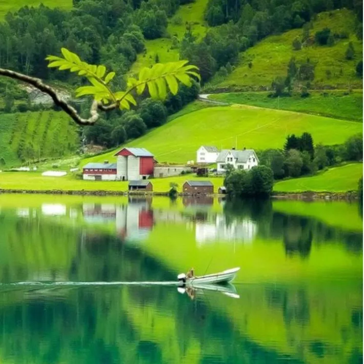 @tiktok2022
