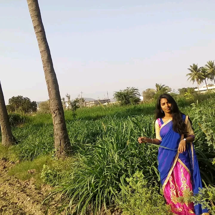 @maheshwarirani0