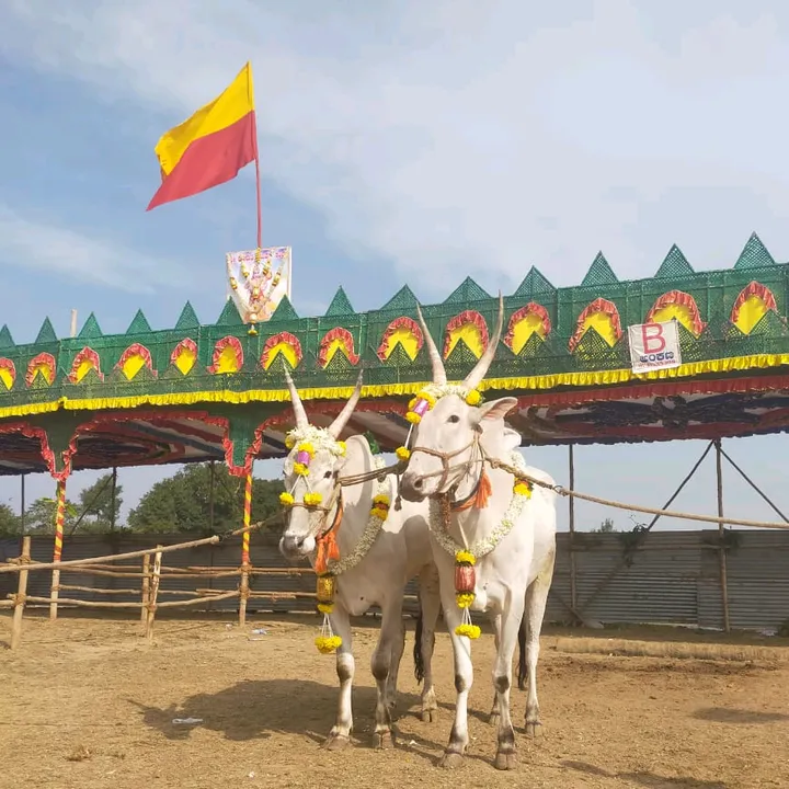 @kumargowda49