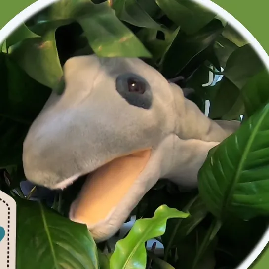 @dino_iggy