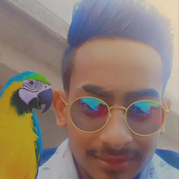 @nareshpandit040