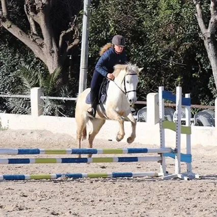 @margot_.equitation