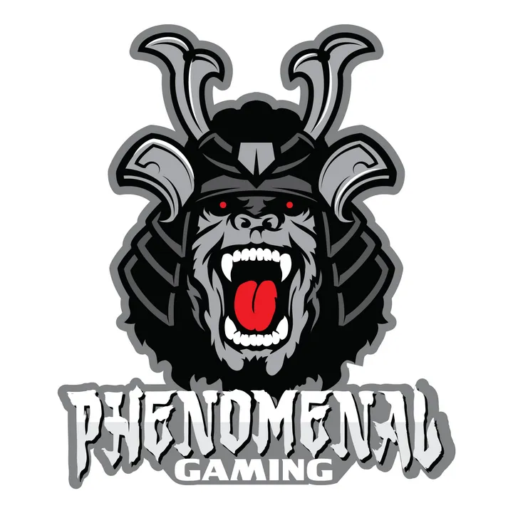 @phenomenal_gaming
