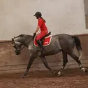 @volskiabey