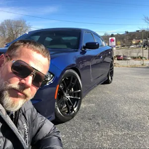 the_savage_investor