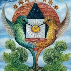 colibri.temazcal