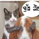 @happysaini