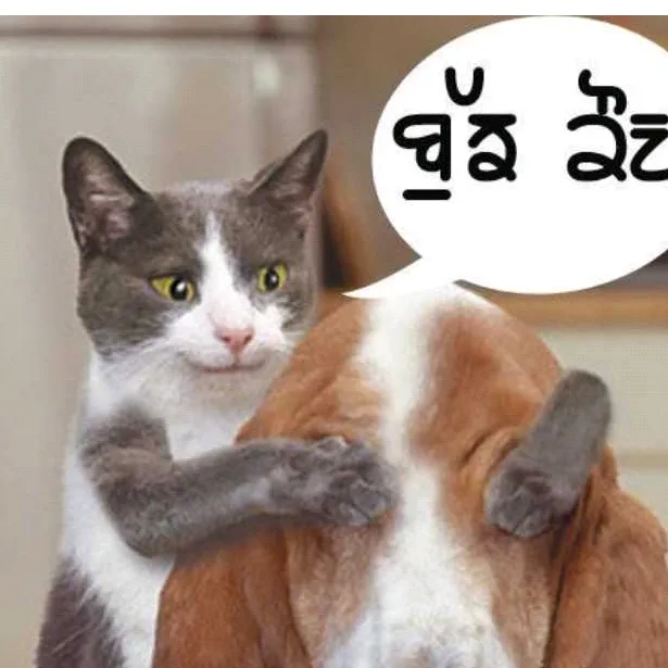 @happysaini