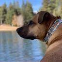 @adventureoutside