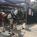 @carriageon