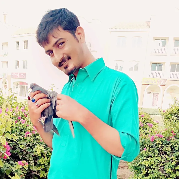 @qasim_nri