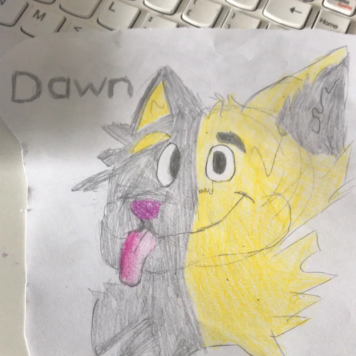 dawn.is.a.beano