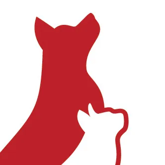 @arkvet