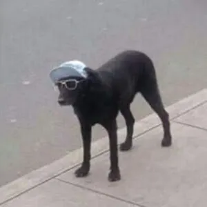 csocket