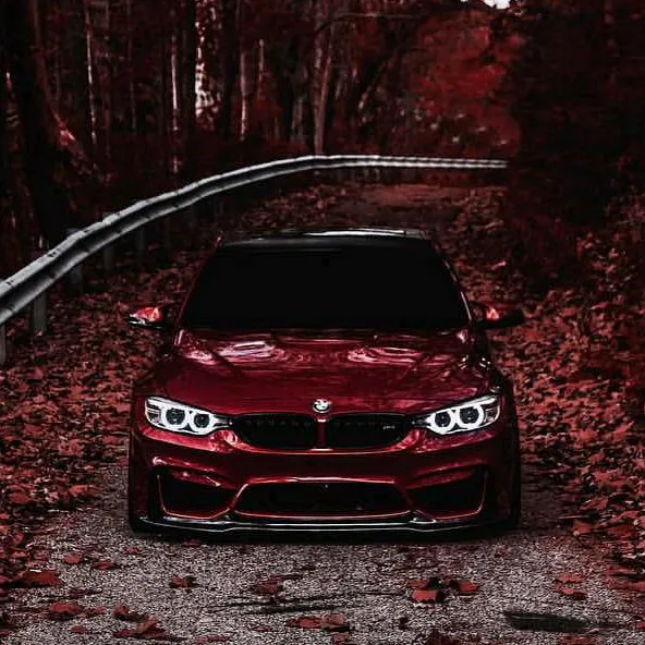 @farzetki.garege58