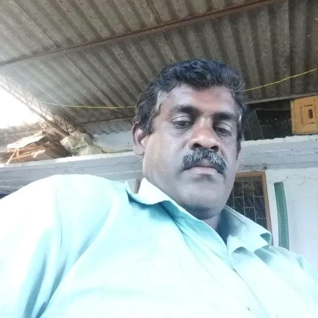 @user85790995