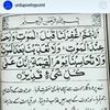 adishaheen344
