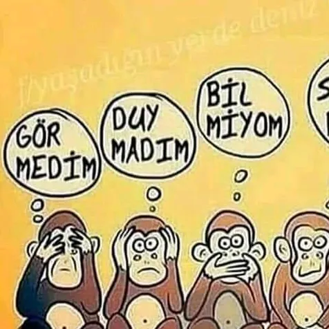 gülaydemirelx