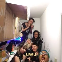 hokuwilliams